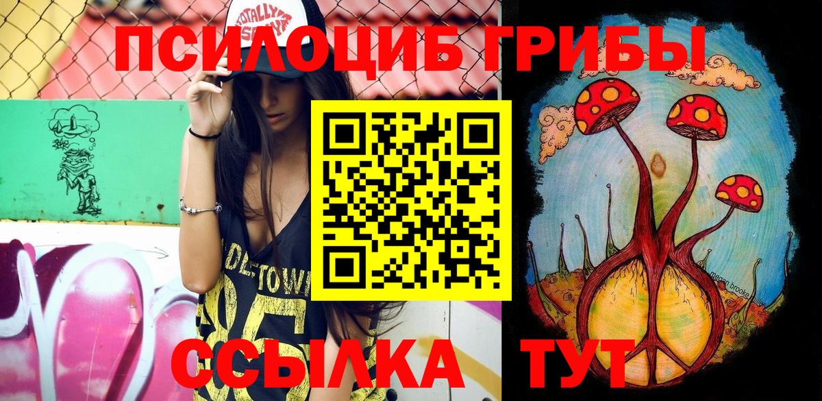 Зима  Галлюциногенные грибы мухоморы  что такое наркотик  Вход с VPN 