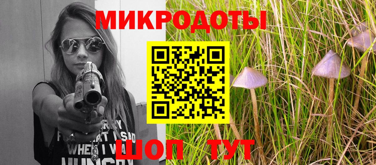 Галлюциногенные грибы мицелий Зима