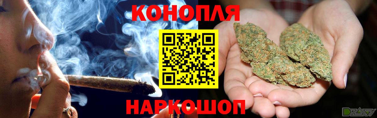 Каннабис конопля  Вход с VPN  Бошки марихуана AK-47  Канабис сатива  Зима 